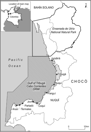 El Golfo de Tribugá y sus nueve corregimientos costeros. Hacia el
norte, la Ensenada de Utría, al sur el Distrito Regional de Manejo Integrado
Golfo de Tribugá - Cabo Corrientes.