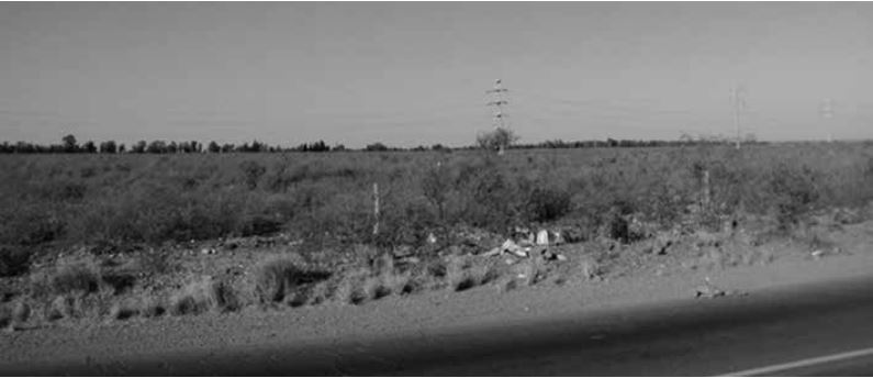 Basural en suelos incultos y tendidos eléctricos aéreos en la ruta provincial 14
de Barrancas-Maipú, Mendoza.