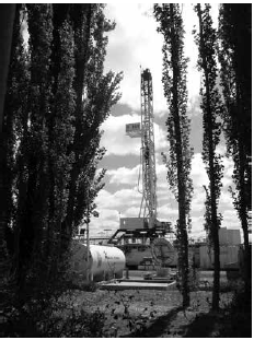 Plantaciones frutícolas y torres de
perforación petrolera, Allen. 